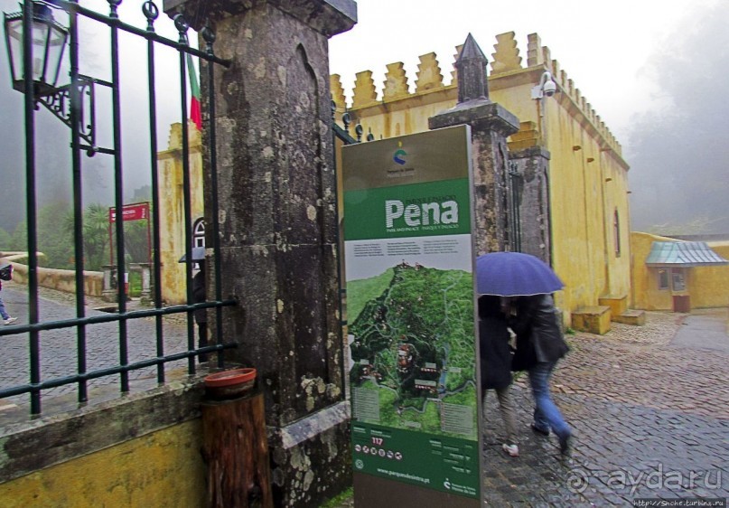 Пена туманная