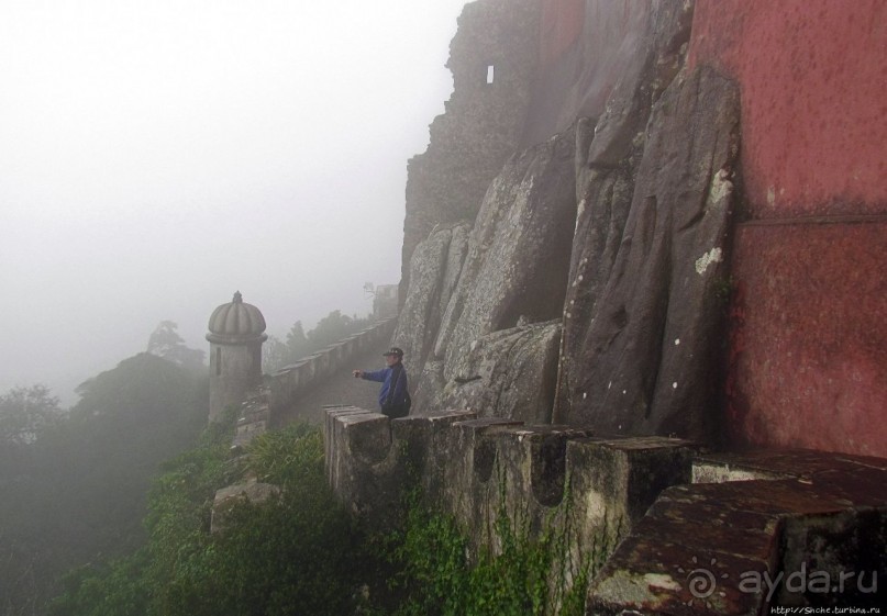 Пена туманная