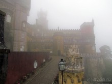 Пена туманная