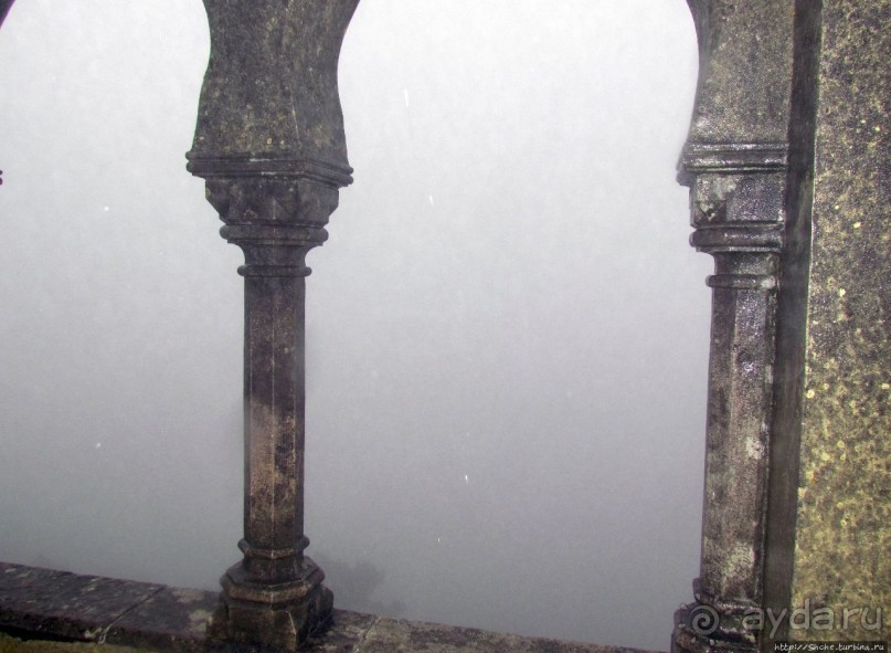 Пена туманная