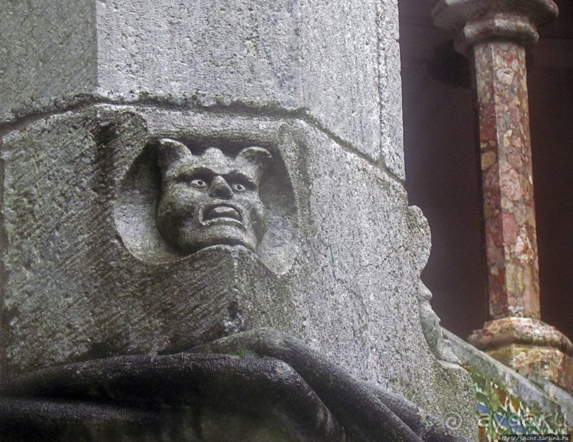 Пена туманная