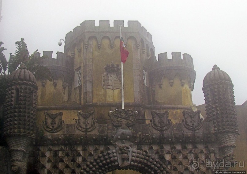 Пена туманная