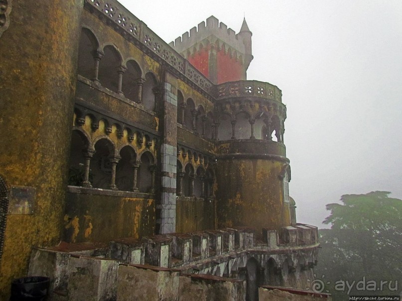 Пена туманная