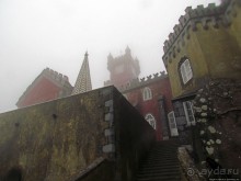 Пена туманная