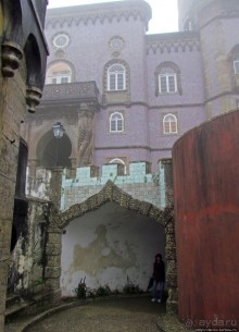 Пена туманная