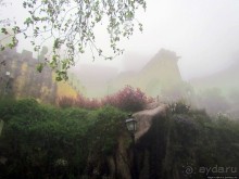 Пена туманная