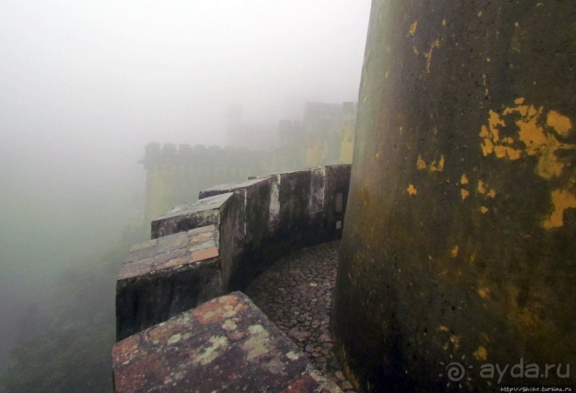 Пена туманная