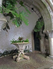 Пена туманная