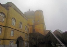 Пена туманная