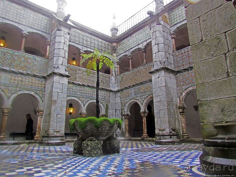 Пена туманная