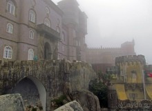 Пена туманная