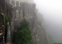 Пена туманная