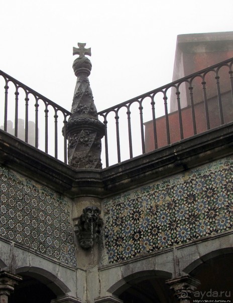 Пена туманная