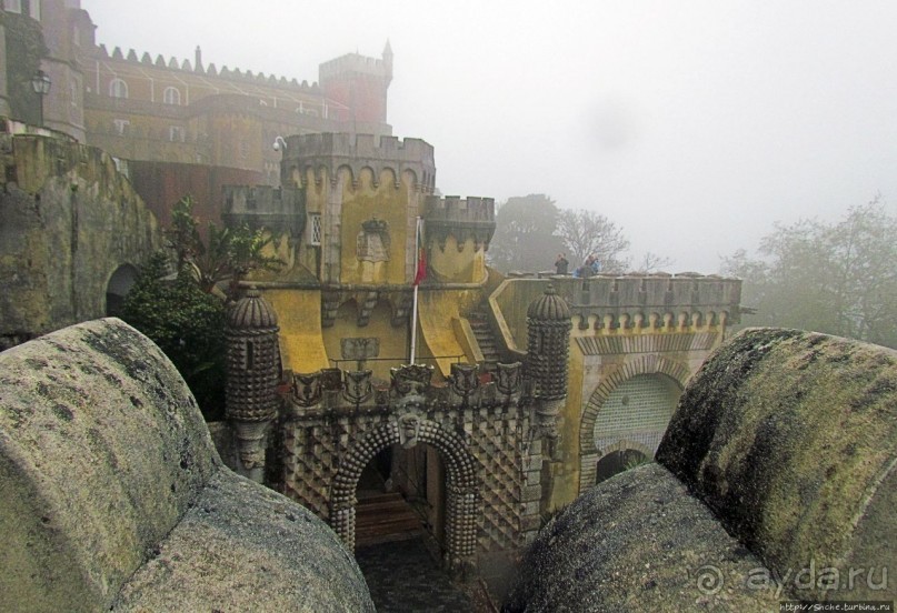 Пена туманная