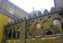 Пена туманная