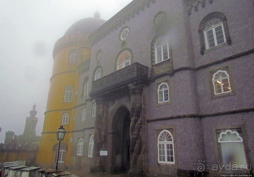 Пена туманная