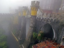 Пена туманная