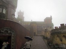 Пена туманная