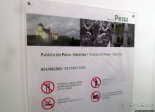 Пена туманная