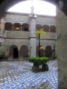 Пена туманная