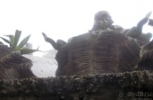 Пена туманная