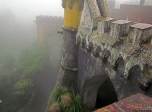 Пена туманная