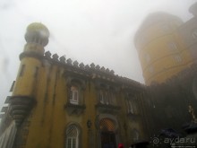 Пена туманная