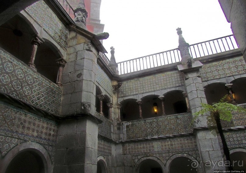 Пена туманная