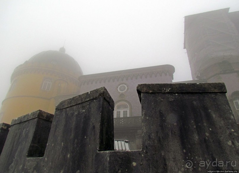 Пена туманная