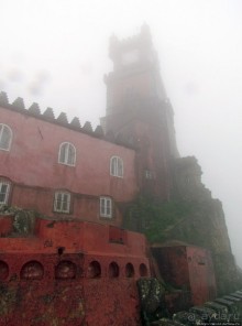 Пена туманная