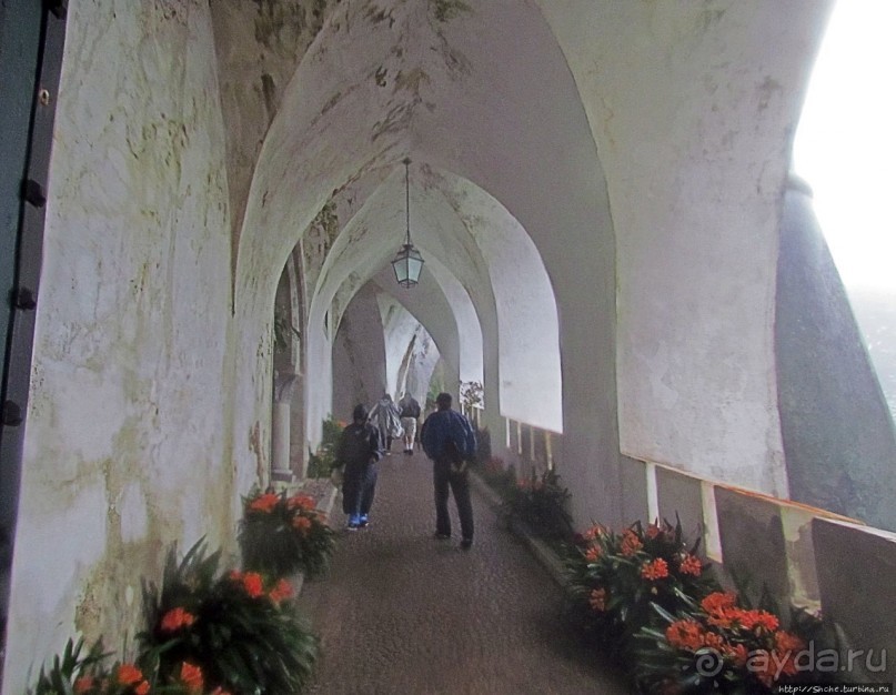 Пена туманная