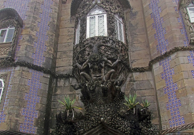 Пена туманная