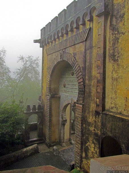 Пена туманная