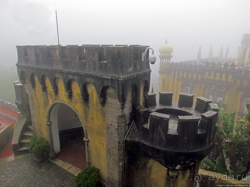 Пена туманная