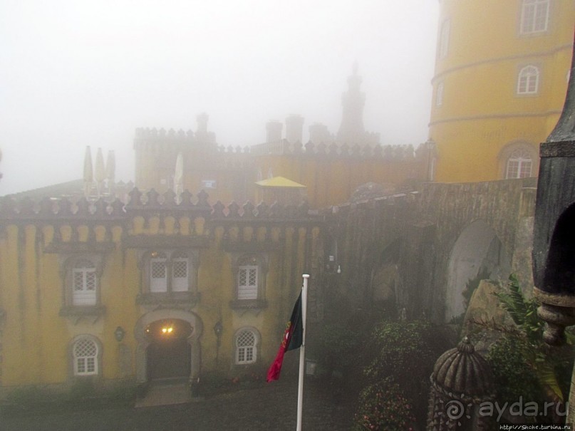 Пена туманная