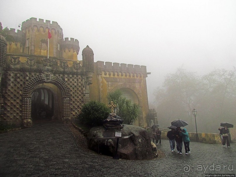 Пена туманная