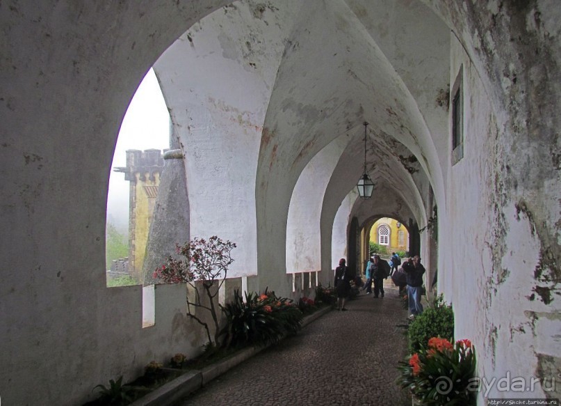 Пена туманная