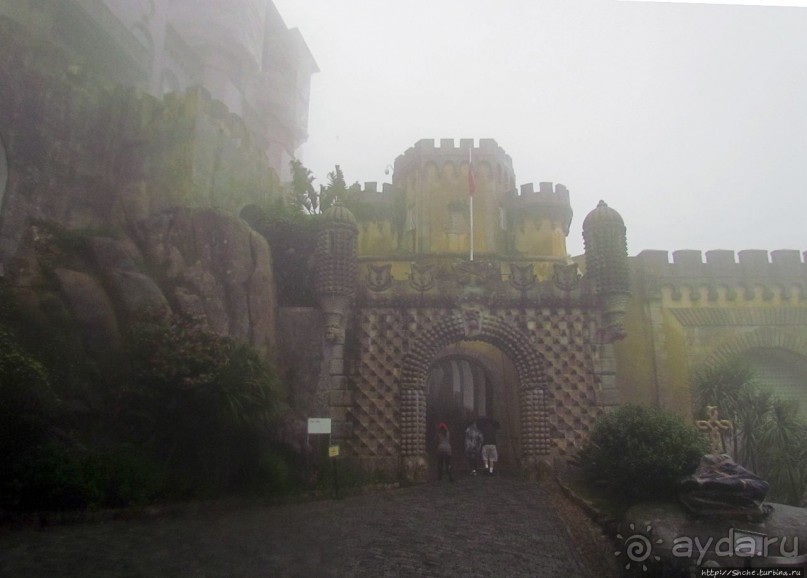 Пена туманная