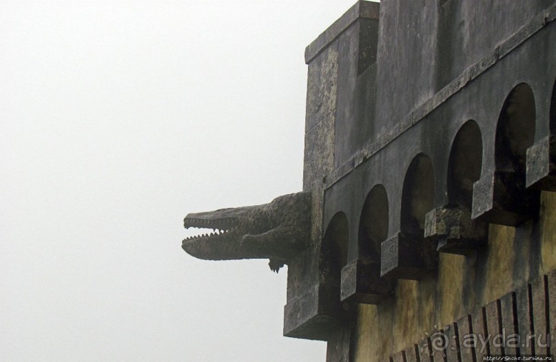 Пена туманная