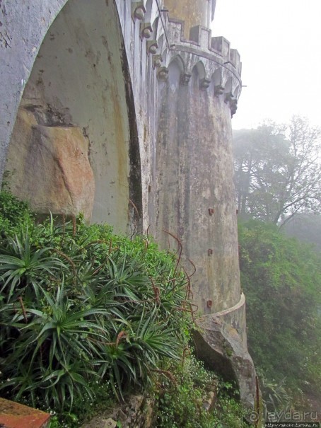 Пена туманная