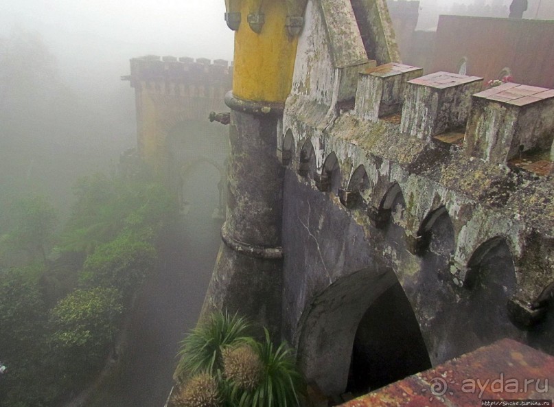 Пена туманная