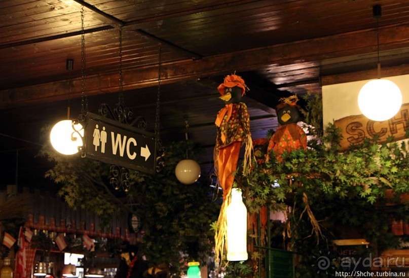 Альбом отзыва "Ресторан-пивная в парке Пратер"