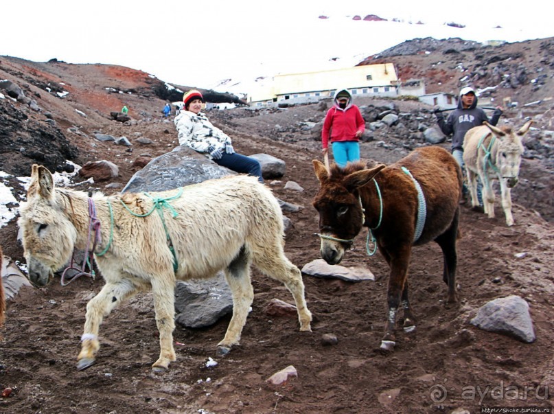 Когда вулкан спит, или Котопакси для "чайников"