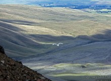 Когда вулкан спит, или Котопакси для "чайников"