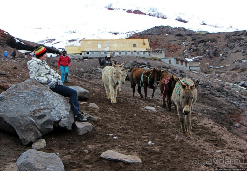 Когда вулкан спит, или Котопакси для "чайников"