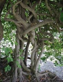 Водопады реки Крка. Пройдемся по верховьям