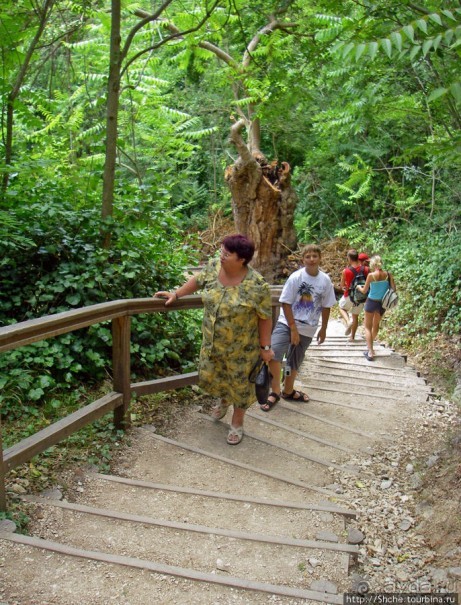 Альбом отзыва "Водопады реки Крка. Пройдемся по верховьям"