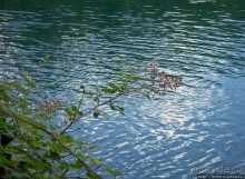 Альбом отзыва "Водопады реки Крка. Пройдемся по верховьям"