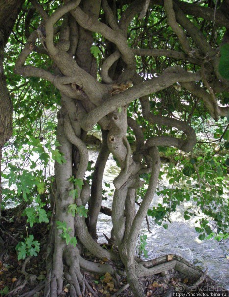 Водопады реки Крка. Пройдемся по верховьям