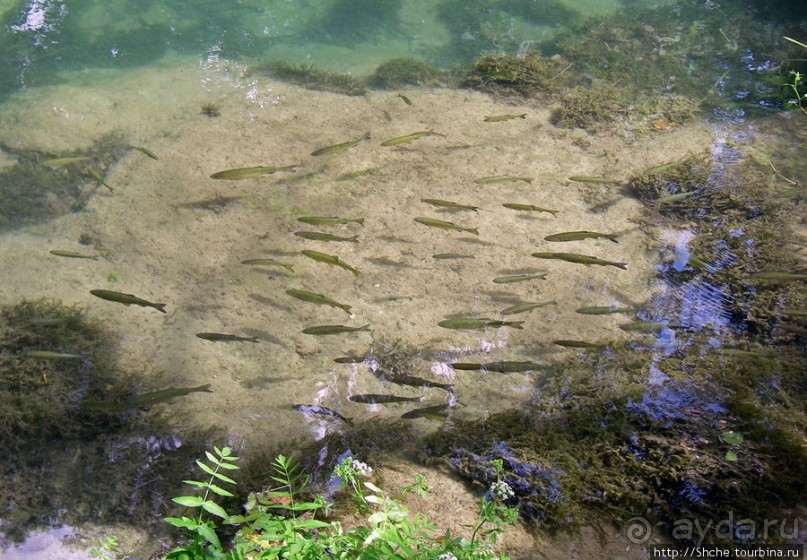 Водопады реки Крка. Пройдемся по верховьям